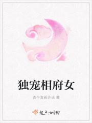 相府独宠晋江