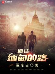 去缅甸开车可以通行吗?