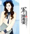 军婚秘爱钦